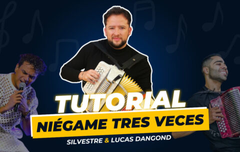 Portada NIEGAME TRES VECES